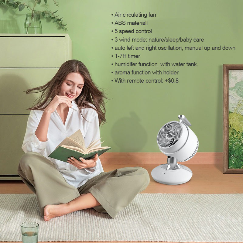 AIR CIRCULATING FAN